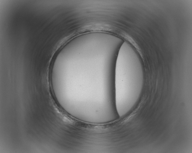 X0000073390986200607280904