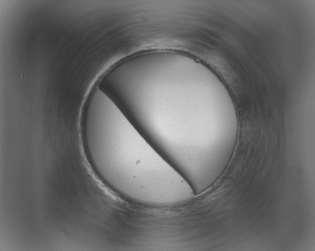 X0000073390990200607280904