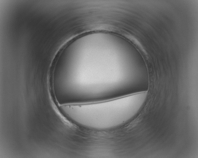 X0000073390991200607280904