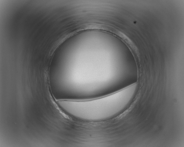 X0000073390993200607280904