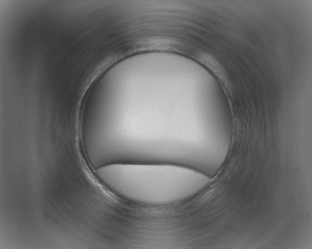 X0000073390994200607280904