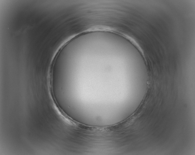X0000073391003200607280904