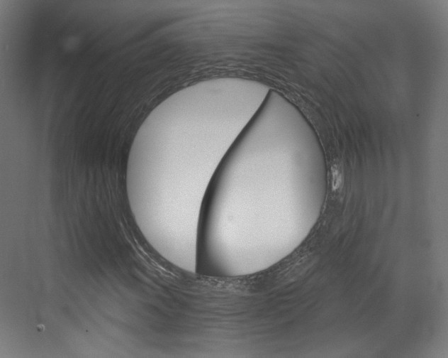 X0000073391011200607280903