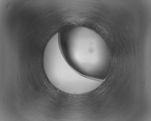 X0000073391012200607280903