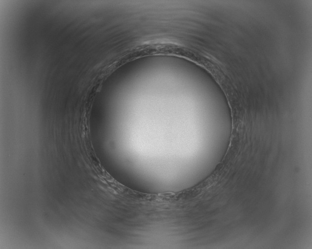 X0000073391014200607280903