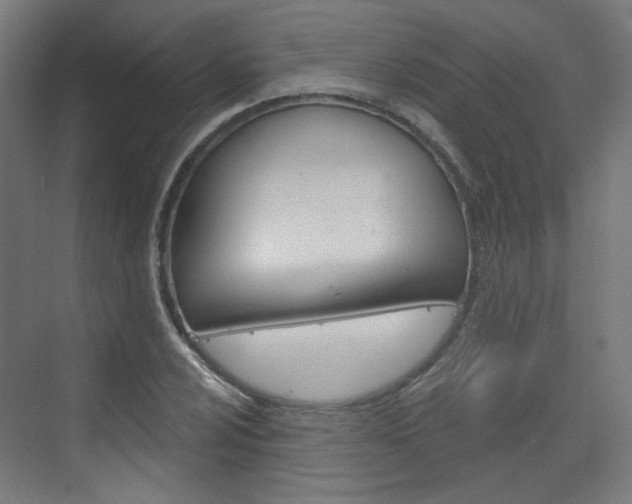 X0000073391024200607280903
