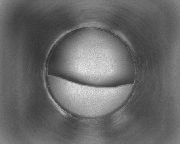 X0000073391040200607280904