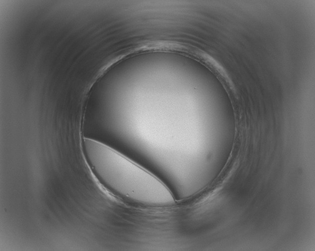 X0000073391041200607280904