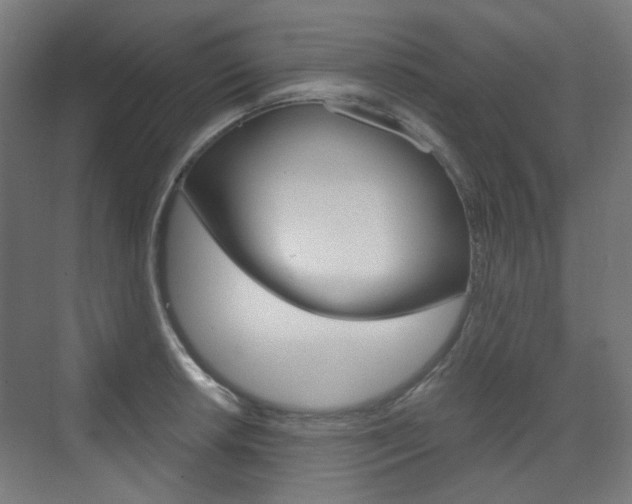 X0000073391042200607280904