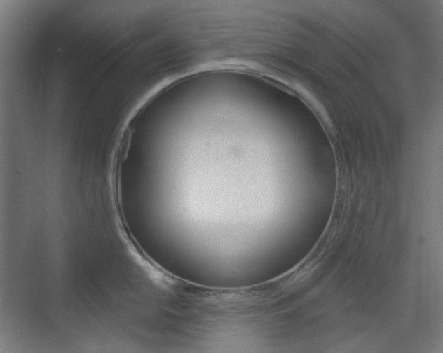 X0000073391054200607280904