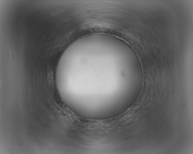 X0000073391061200607280903