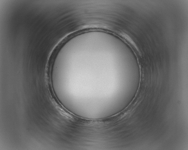 X0000073391068200607280903