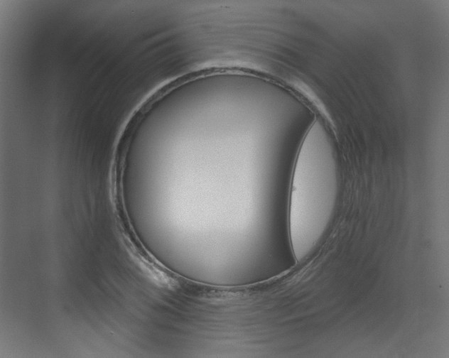 X0000073391076200607280903