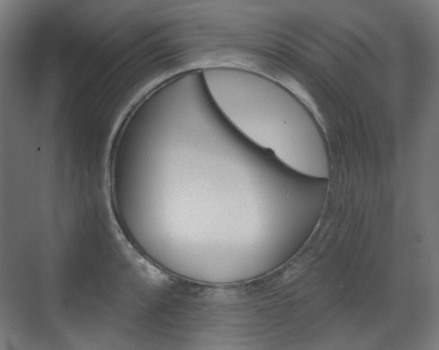 X0000073391088200607280903
