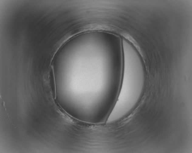 X0000073391089200607280903