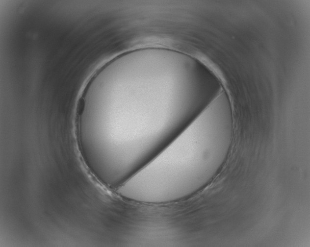 X0000073391104200607280902