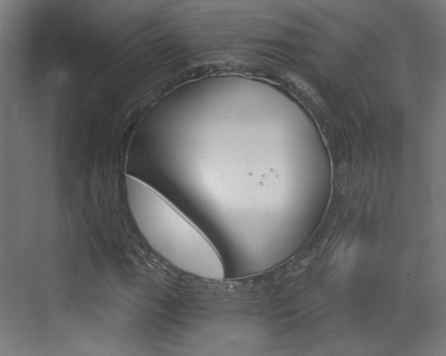 X0000073391111200607280902