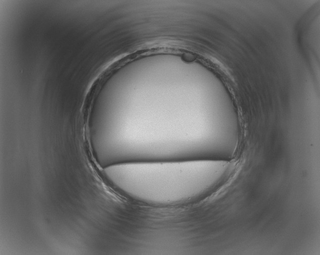 X0000073391117200607280902