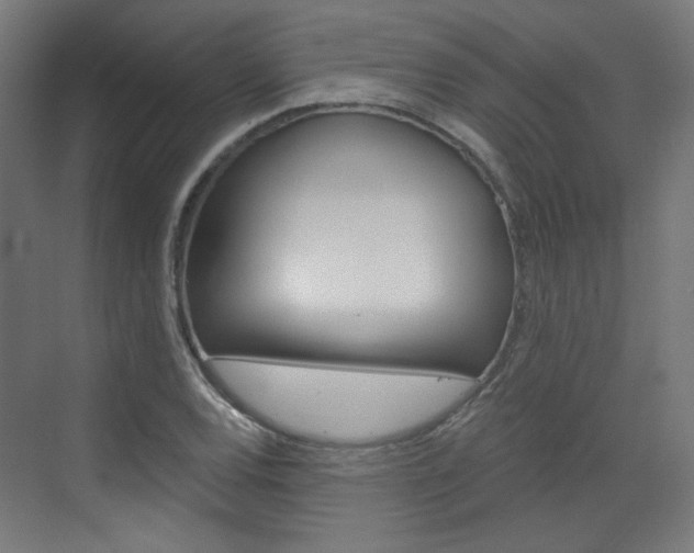 X0000073391120200607280902