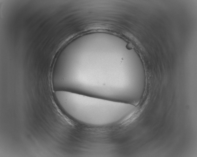 X0000073391121200607280902