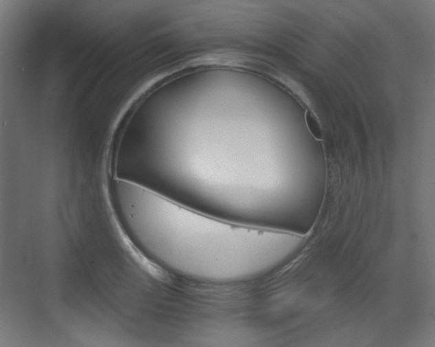 X0000073391131200607280902