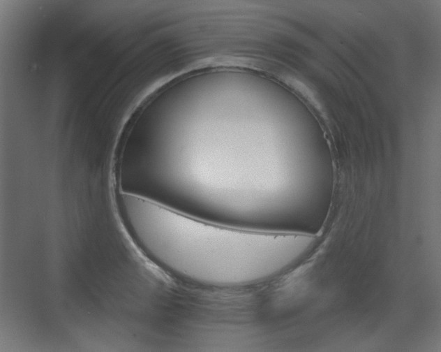 X0000073391133200607280902