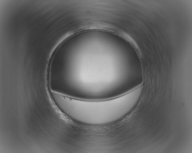 X0000073391138200607280902
