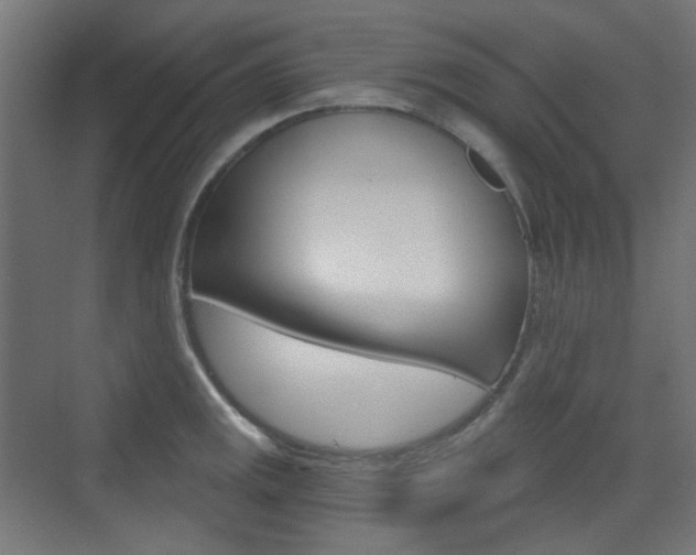 X0000073391141200607280902