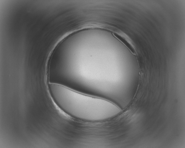 X0000073391143200607280902
