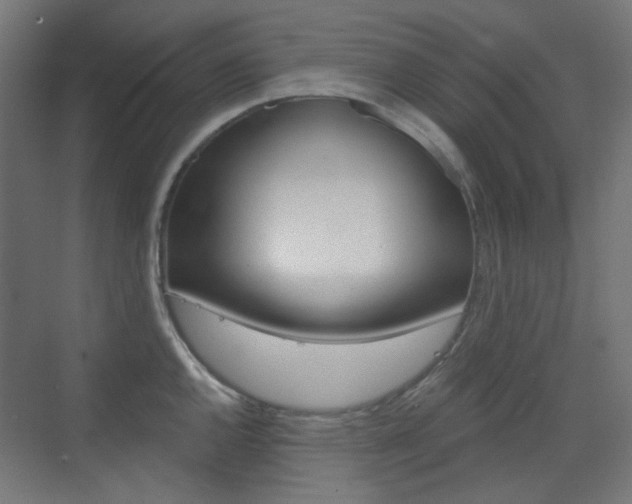 X0000073391144200607280902
