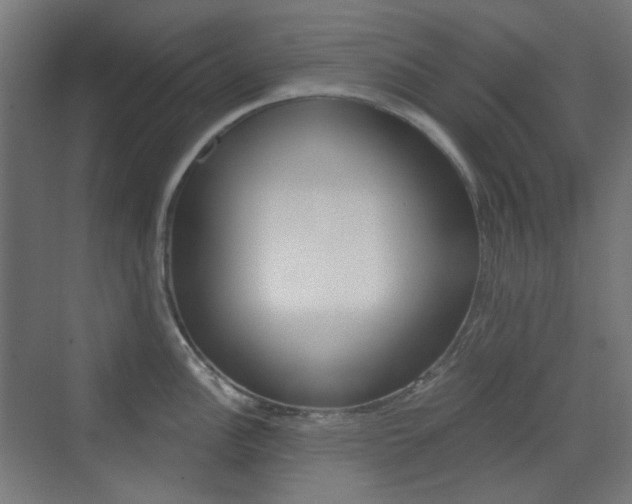 X0000073391148200607280902