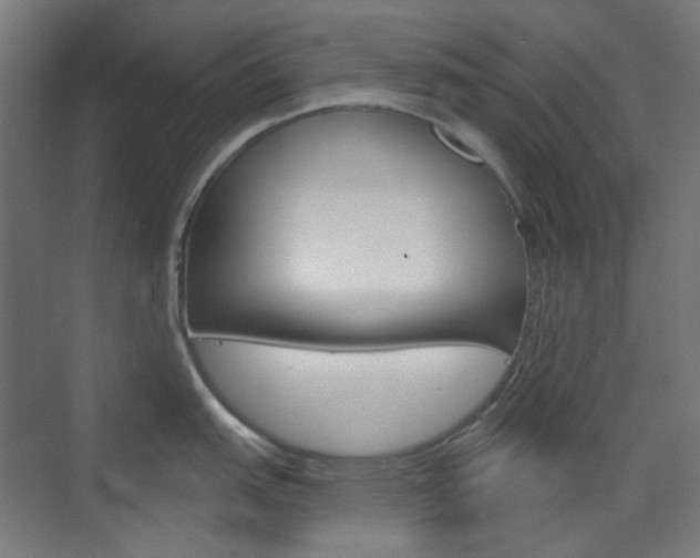 X0000073391151200607280902