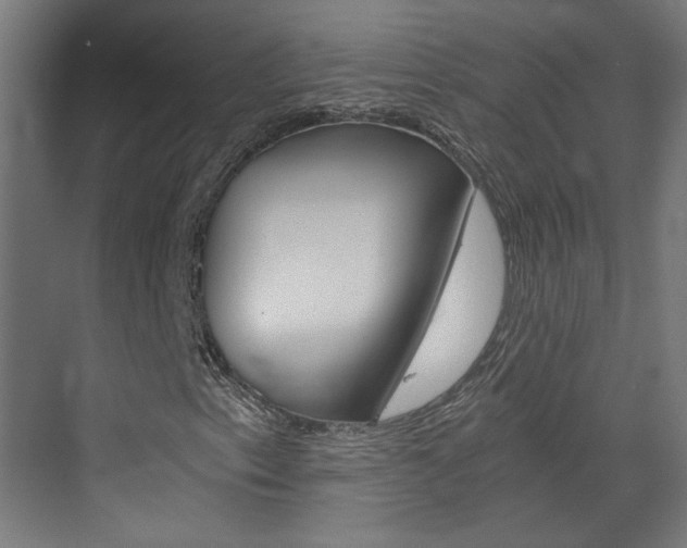 X0000073391153200607280902