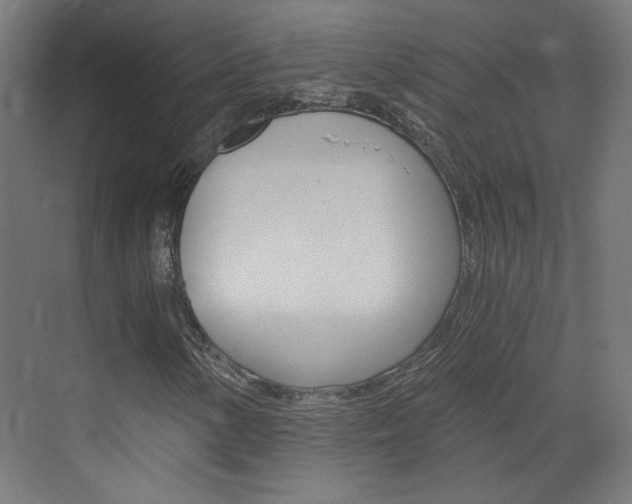 X0000073391154200607280902