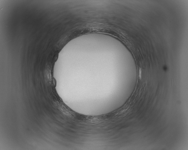X0000073391155200607280902