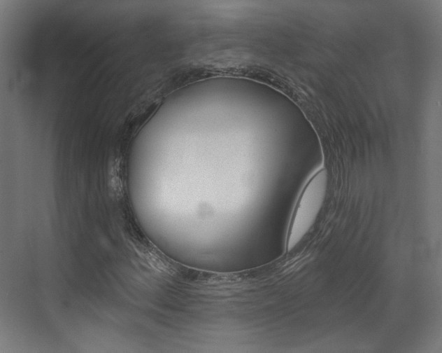 X0000073391156200607280902
