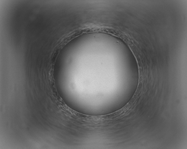 X0000073391157200607280901