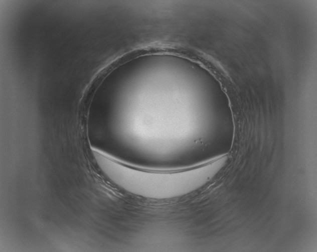 X0000073391160200607280901