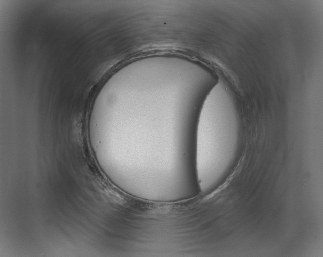 X0000073391162200607280901