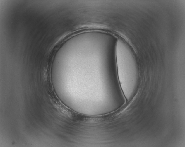X0000073391163200607280901