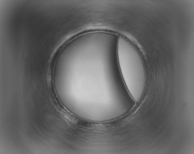 X0000073391167200607280901