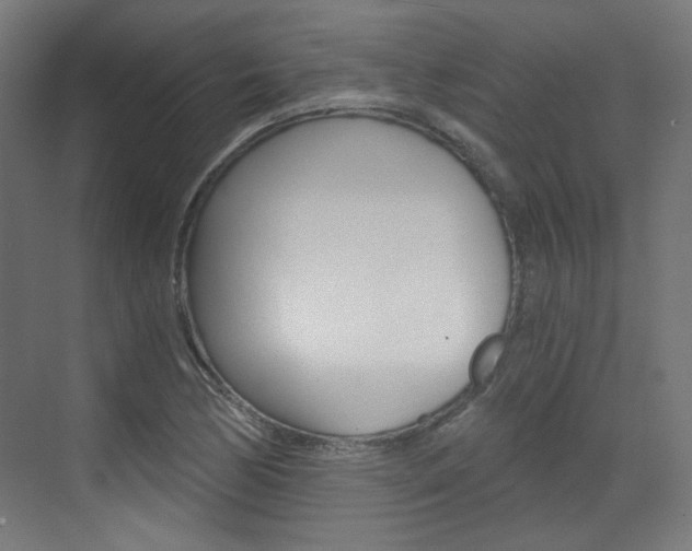 X0000073391170200607280901