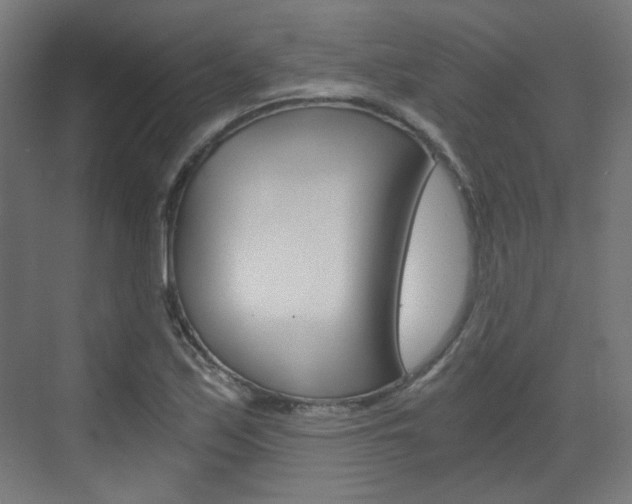 X0000073391171200607280901