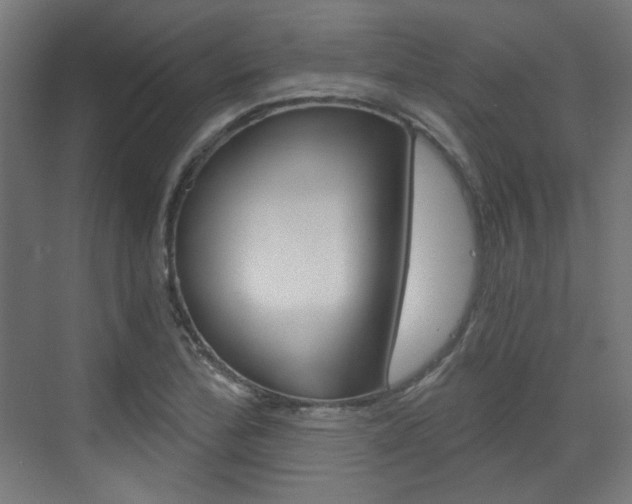 X0000073391172200607280901