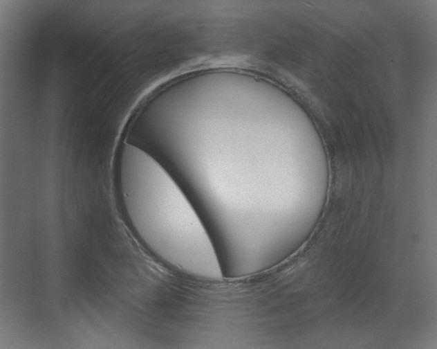 X0000073391174200607280901