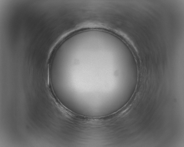 X0000073391175200607280901