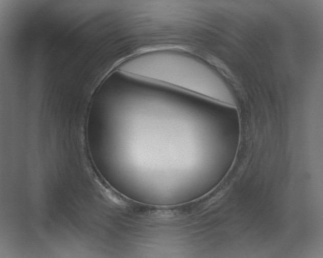 X0000073391177200607280901
