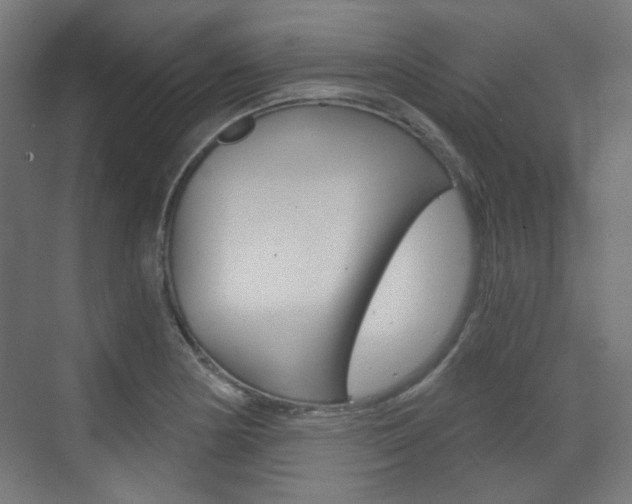 X0000073391178200607280901