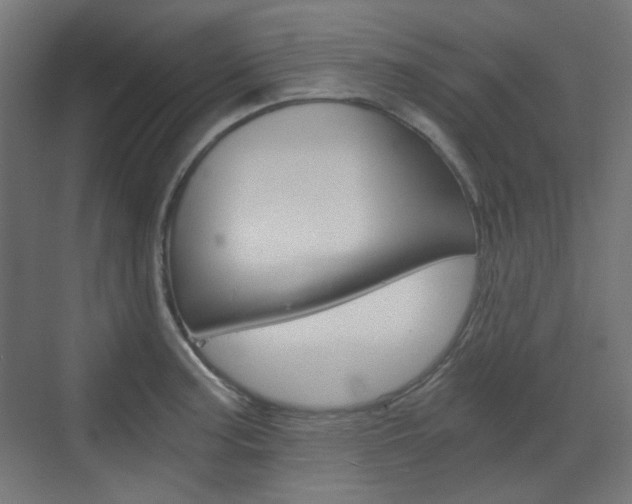 X0000073391187200607280901