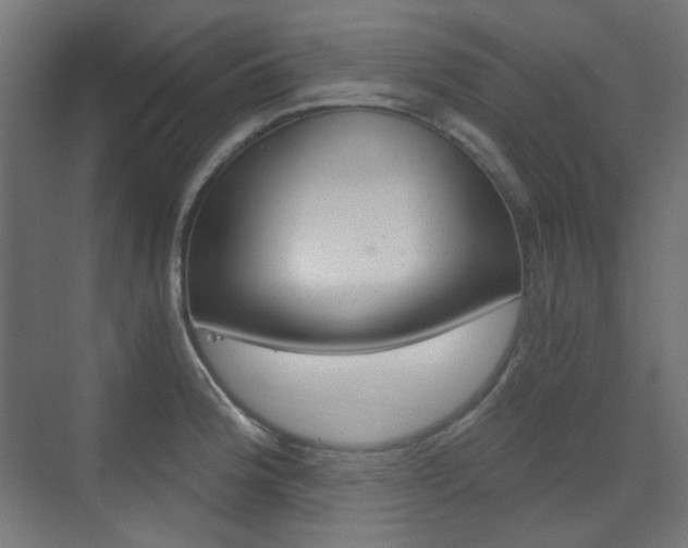 X0000073391188200607280901
